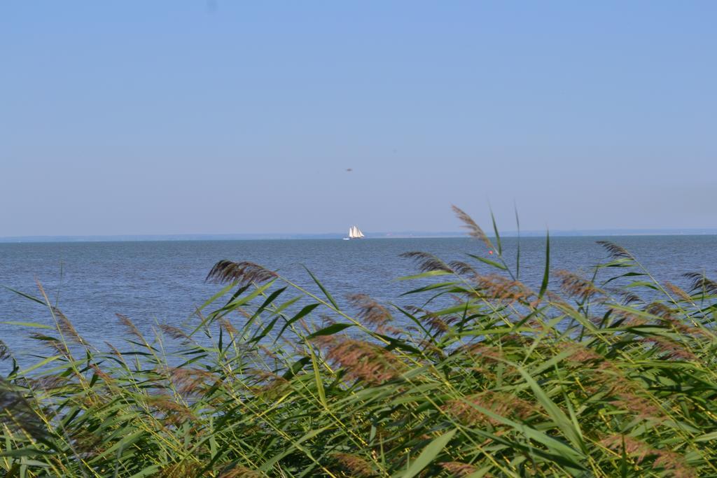 Bungalow Am Haff Grambin Εξωτερικό φωτογραφία